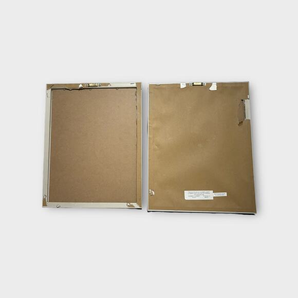 Jade Reynolds 2 Framed Bird Themed Art Prints 13 X 10" Wall Home Decor - Picture 4 of 10